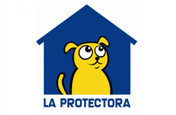 Convenio colonias de gatos Ayuntamiento de Llanera
