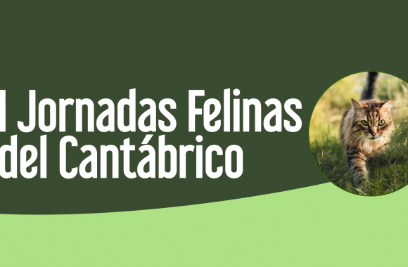 I Jornadas Felinas del Cantábrico