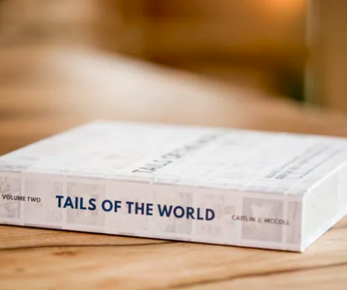 Tail of the World Vol 2